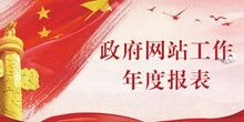 淮南市招商局网站工作年度报表